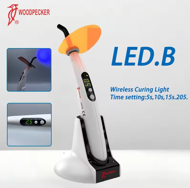 Dental Curing Light Woodpecker - Teeth Whitening Home review and price